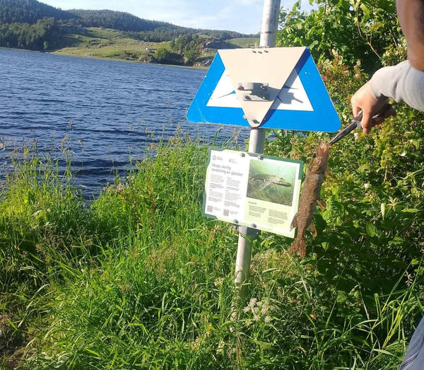 Fangst fra Gjeddejakten 2026