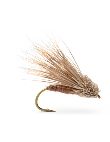 Streaking Caddis