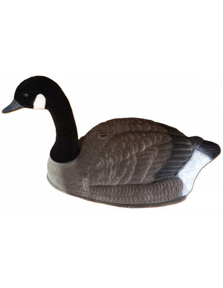 Alces Bulvan Kanadagås Skall Flokk Vakt