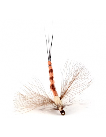 GL Danica Spent Spinner