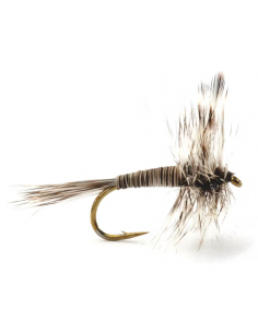Mosquito