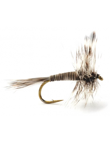 Mosquito