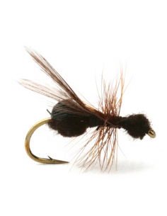 Flying Ant Black