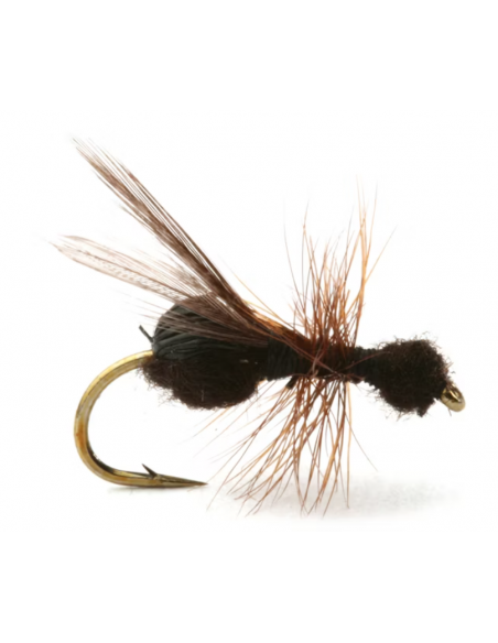 Flying Ant Black