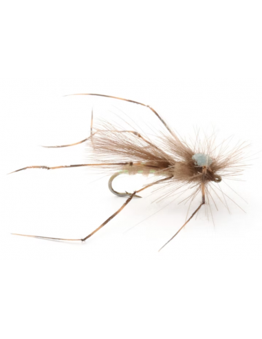 CDC Daddy Long Legs