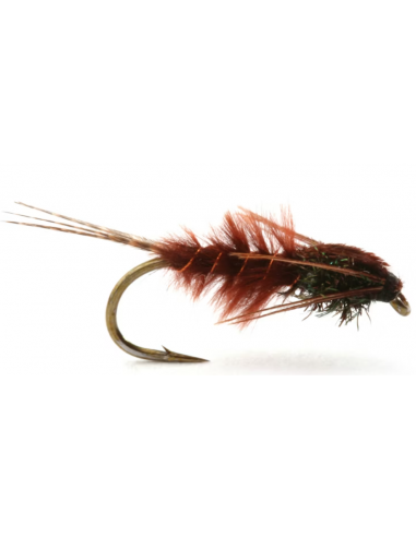 Leptonymfa
