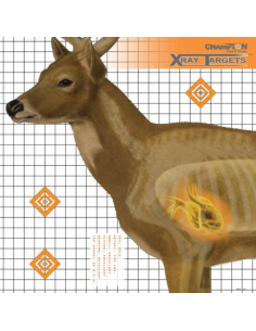 X-Ray Targets Hjort