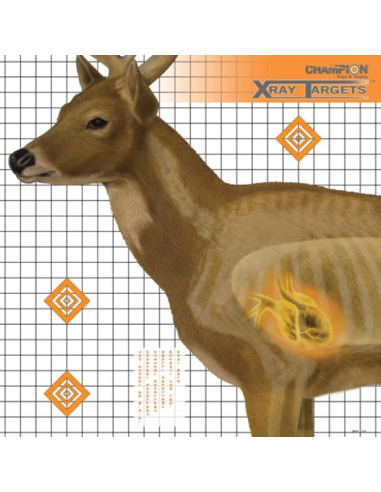 X-Ray Targets Hjort
