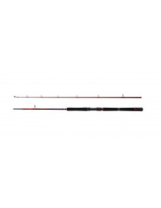 Penn Squadron III Boat 2,10m 30-50lbs