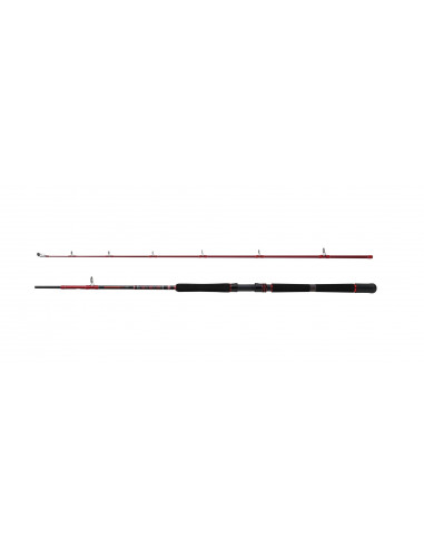 Penn Squadron III Boat 2,10m 30-50lbs