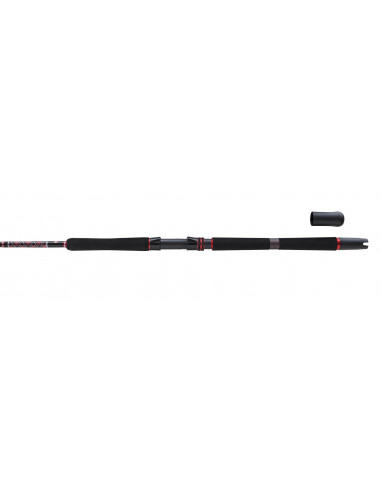 Penn Squadron III Boat 2,10m 30-50lbs