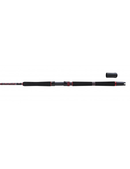Penn Squadron III Boat 2,10m 30-50lbs