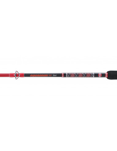 Penn Squadron III Boat 2,10m 30-50lbs