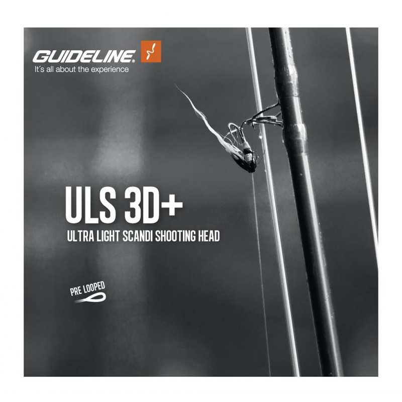 Guideline ULS 3D+