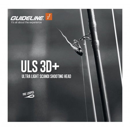 Guideline ULS 3D+