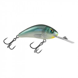 Salmo Hornet Floating GBH 5cm