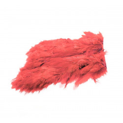 Keough Softhackle Patch - Salmon Pink