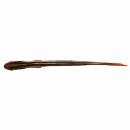 SG Craft Dying Minnow Roach 5pk