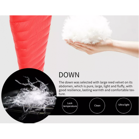 Rogis Njardarheim Rød