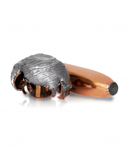 Norma Oryx 300 WSM 165gr