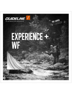 Guideline Experience+ WF Flyt