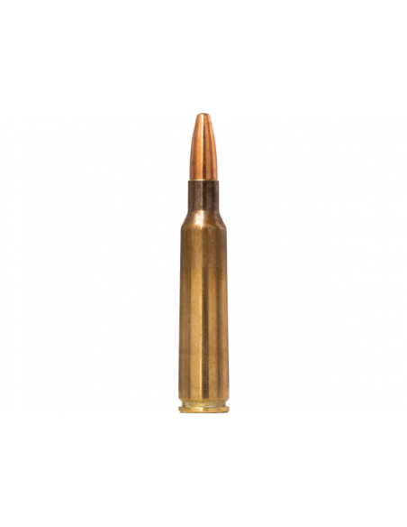 Norma Range & Training