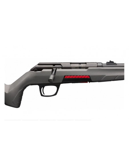 Winchester Xpert 22LR