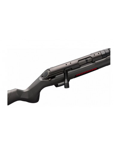 Winchester Xpert 22LR