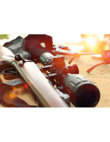 Browning X-Bolt 308, Zeiss V4 & A-Tec V2