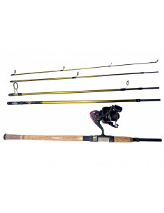 Berkley Phazer Pro III 10ft 7-29g Sett