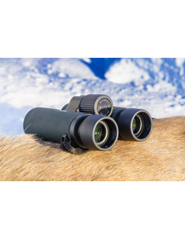 Glaciers Moraine 10x42ED