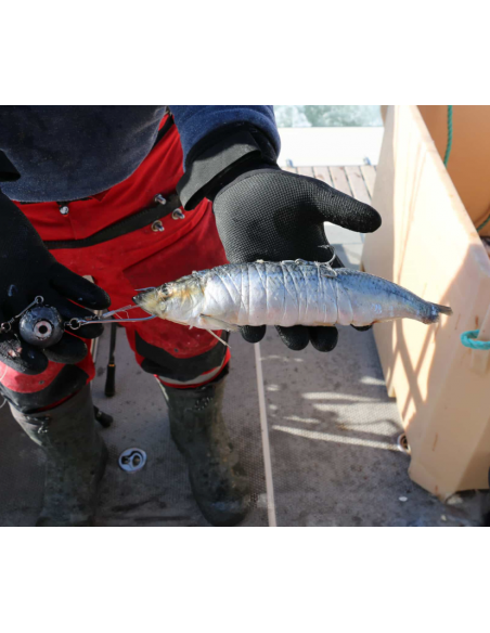 Søvik Elastisk Agntråd Refill