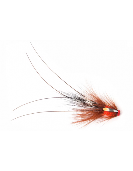 Pot Belly Pig - Fl. Fire Red