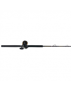 Squall Boat Lever Drag 30-50lb Combo 2