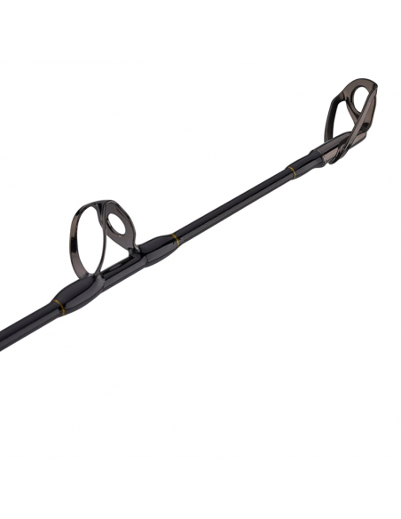 Squall Boat Lever Drag 30-50lb Combo