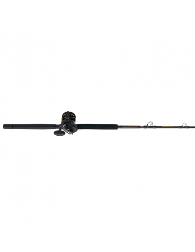 Squall Boat Lever Drag 20-30lb Combo