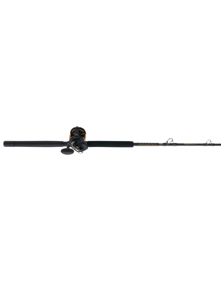 Squall Boat Lever Drag 20-30lb Combo