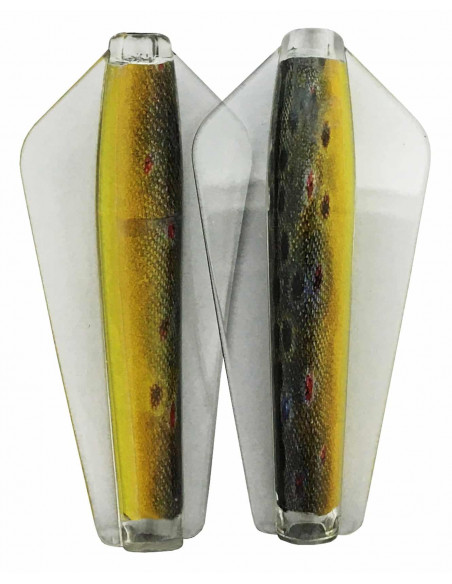 Tasmanian Devil Live Skin Brown Trout