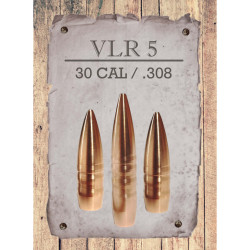 Peregrine Bullets VLR5 x100 2