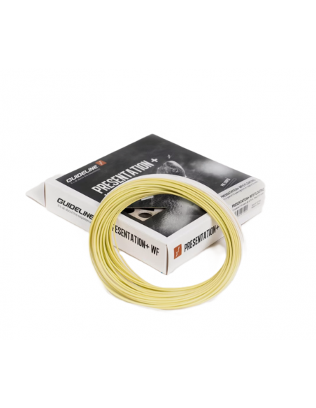 Guideline Presentation+