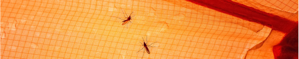 Myggprodukter: Hold myggen borte på turen!