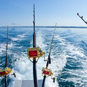 Havfiskestenger og -sneller