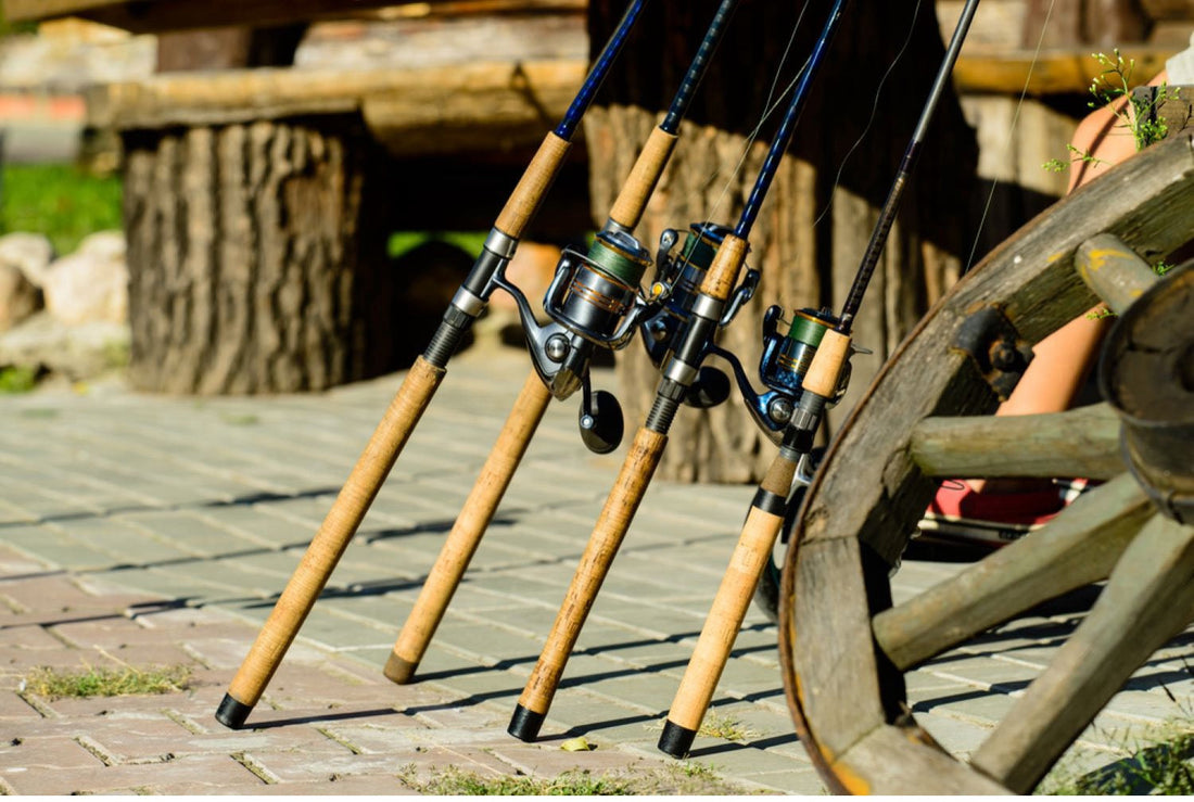 Hvilken type fiskestang skal du velge?