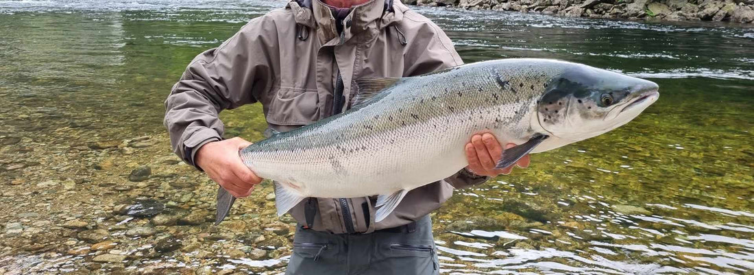 Laksefiske i Norge – komplett guide til riktig utstyr, teknikk og valg