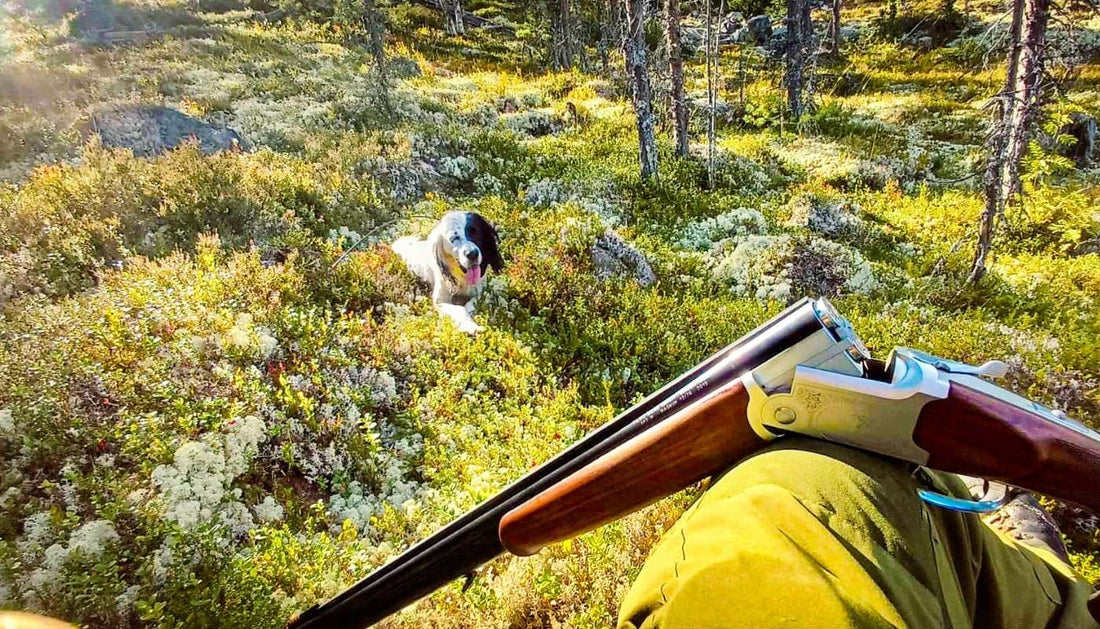 Rypejakt – komplett guide til en vellykket jaktsesong