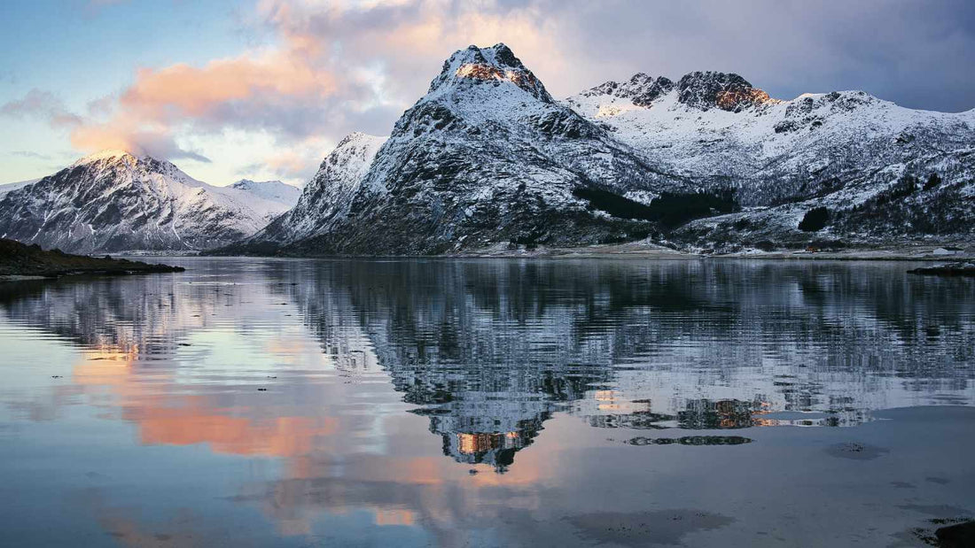 Vinterfiske etter kysttorsk