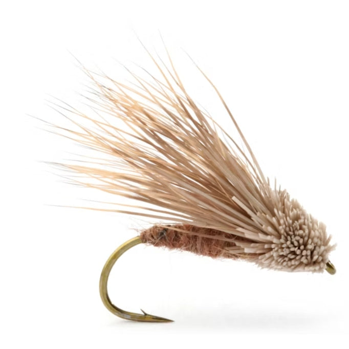Streaking Caddis