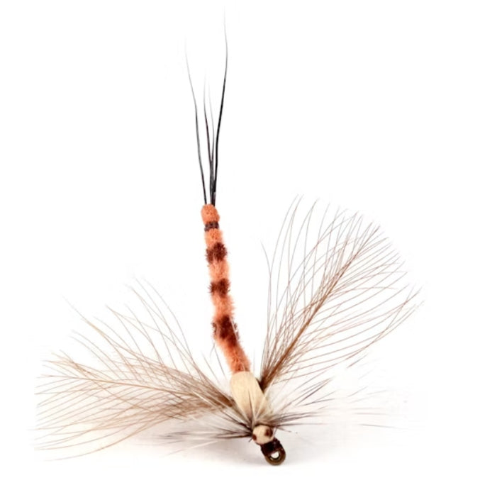 GL Danica Spent Spinner