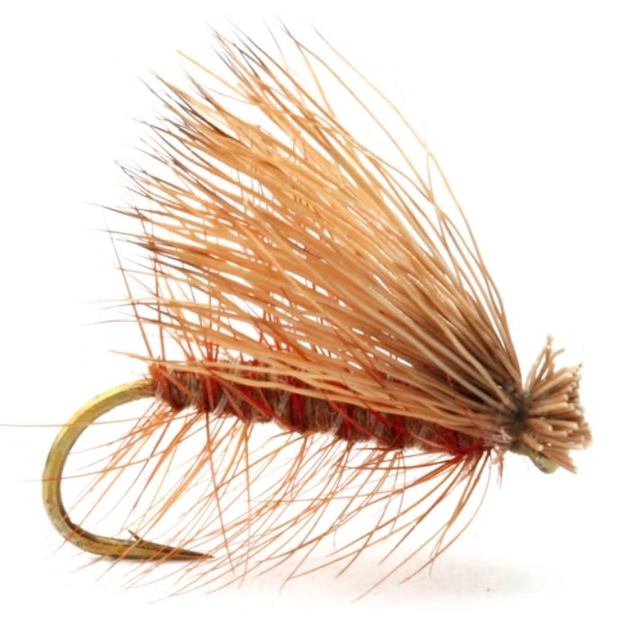 Elk Caddis Brown