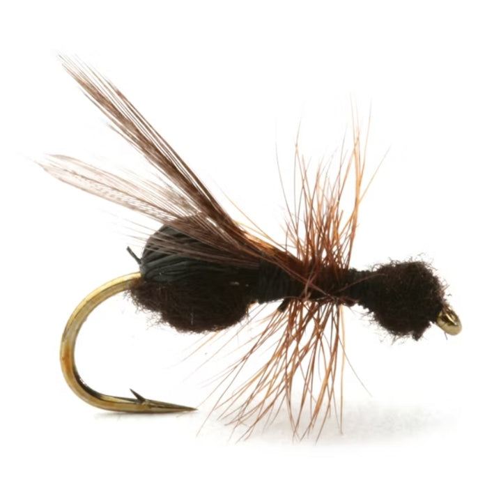 Flying Ant Black